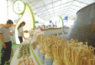 規(guī)模大、檔次高、印象深 打造邢臺農(nóng)產(chǎn)品新形象的“正餐服務”之道