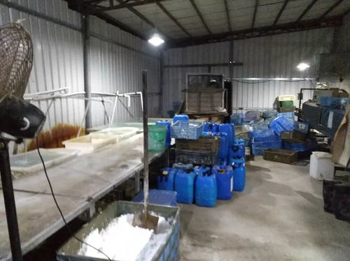 龍溪夜間突查處無牌證金屬制品廠，交警依法暫扣涉案車輛